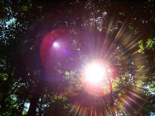 ,                                                                                                                                                                                                                          0 0