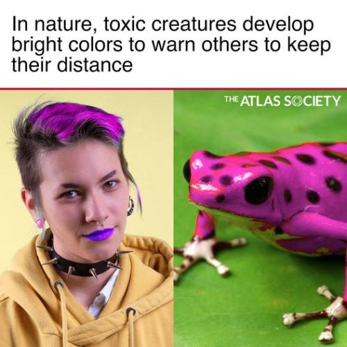 281809100_10159967949050351_7559803337063278051_n