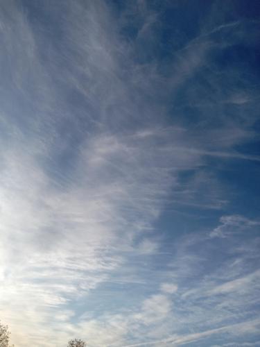 08318b27-65ee-45bb-bcdf-63875be96d18