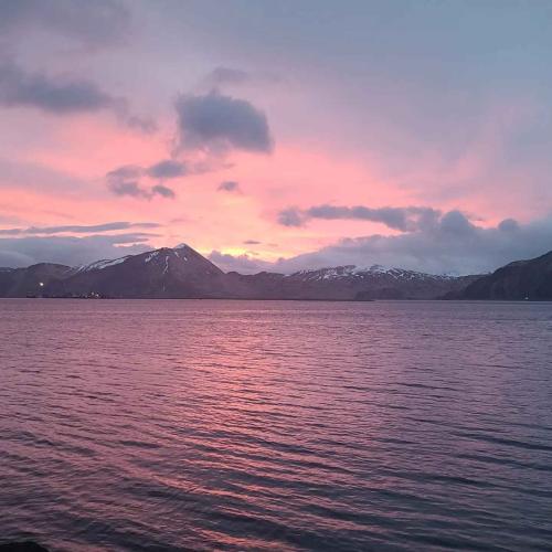 521b8f94-93a1-498f-9cf3-cd4aa7d3b5ab