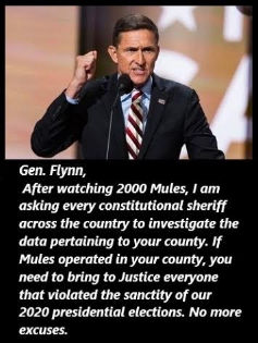 flynn01