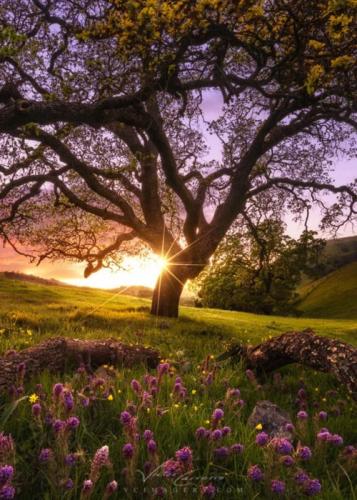 09:52:46 GMT-0500 (CDT)