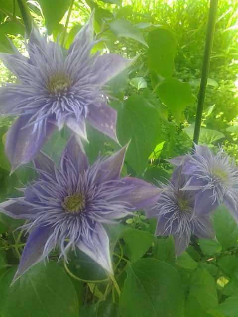 caca6445-9393-4556-8ee5-f7b294d8de73