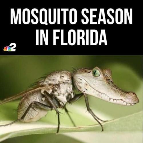 5c78abfd-177e-404d-b842-678f5d108dcb