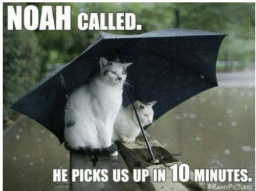 279464341_5526970513987832_7720410733830187204_n