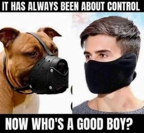 14:56:20 GMT-0400 (EDT)