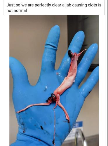 Screenshot_20220521-225945_Chrome