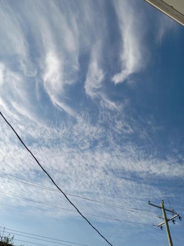 a33b1667-c30f-4d8a-a632-ccc28e23159b