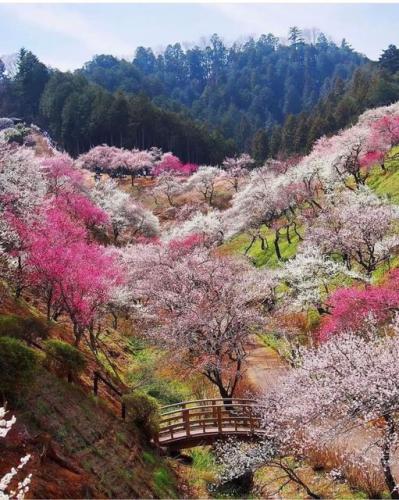 279839482_520495813038228_1572207724645142933_n