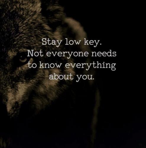 tumblr_93212b49d5e9f5e2e757083409a9cb84_ebc69595_540