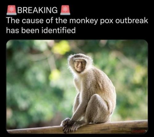 7ad86d92-7eea-4d72-abf8-4ba40ba538d5