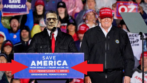 274217262_624403901951845_8807863606537876256_n