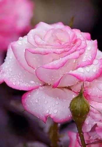 18:25:38 GMT-0500 (CDT)