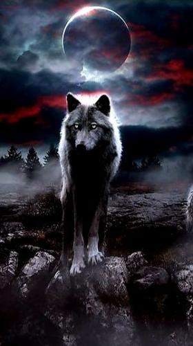 09:12:17 GMT-0500 (CDT)