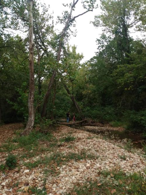 68302fc7-cfba-4944-a39b-ef576b510c1f