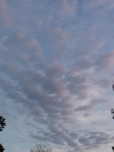 2e3e9d9a-6f7b-4e3f-ad20-93c49bff9832