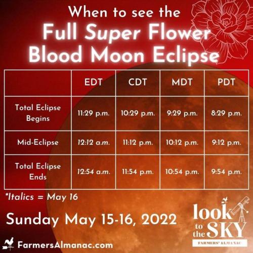 ,                                                                                                                                                                                                                          0 0