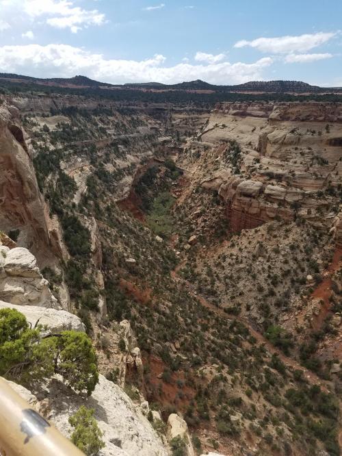 2c39a554-82ea-40b8-b20c-769a3b888d5e