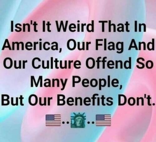 2056977d-0860-4597-bd74-513385aa9796