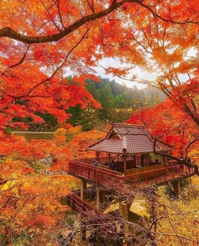 279208464_539883650840975_7315733661906270301_n