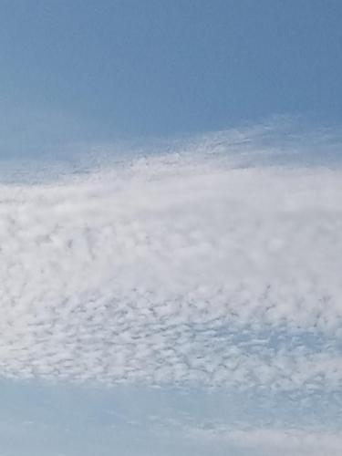 547b65e1-55e0-43b4-a418-5022b41474c6