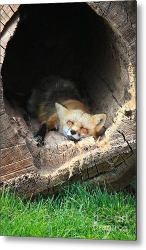 tumblr_29d29fb0ddc9b705a50499dad489e020_1d0cfa68_640