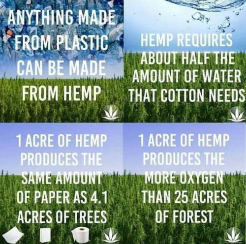 Screenshot_2022-05-17-01-46-09_kindlephoto-279180253