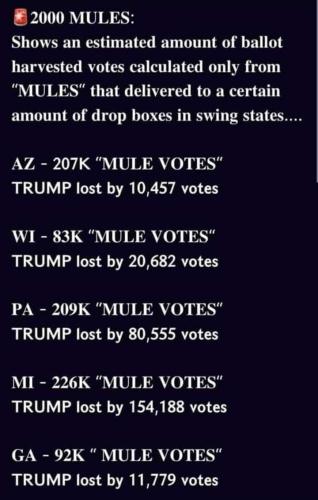 6e60eee3-f171-4392-94a9-b80e573fd163