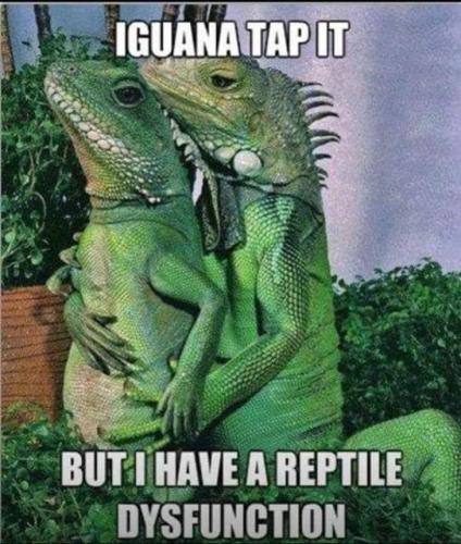 f874508d-58b7-4e56-a864-195c43fa7f65