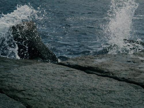 6f284344-b37a-4cc6-8bea-6c0c564bacef