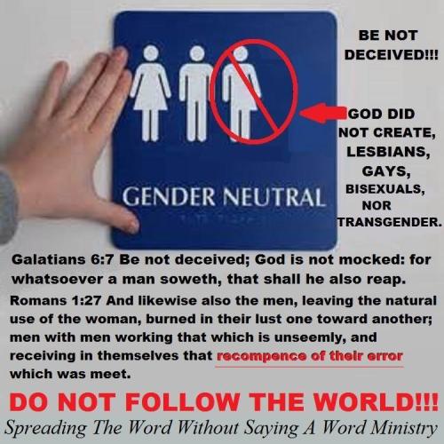 13179029_1056038224478308_5403891338885074642_n