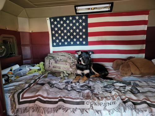 076937a8-9f38-444c-bd9a-eda7247dbab5