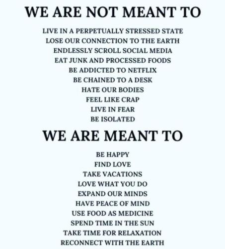 we are not meant to