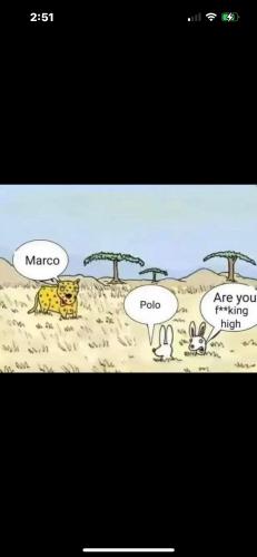 F2801BA7-C551-428E-8760-18CD46DCF2E0