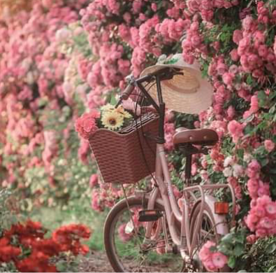 Screenshot_2022-05-17-01-30-33_kindlephoto-655490320