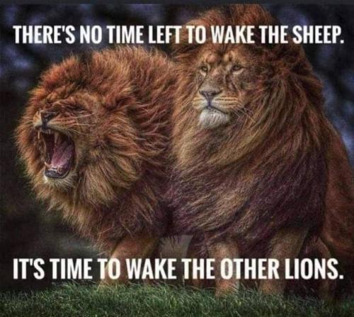 10ecfb95-8c9c-4f03-a782-17ed832e6a95