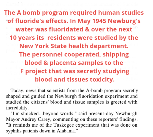 Screenshot_2022-05-22-19-48-50_kindlephoto-79289736