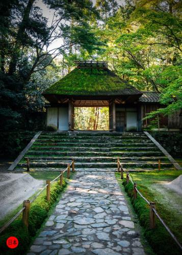 280991540_7447673891970932_213100527657734457_n