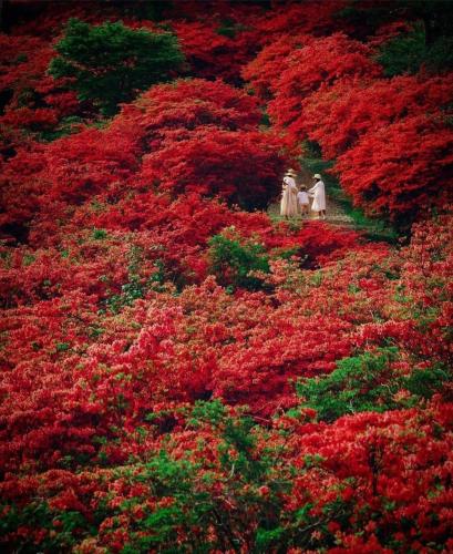 283852998_530335435387599_5846002361562366574_n