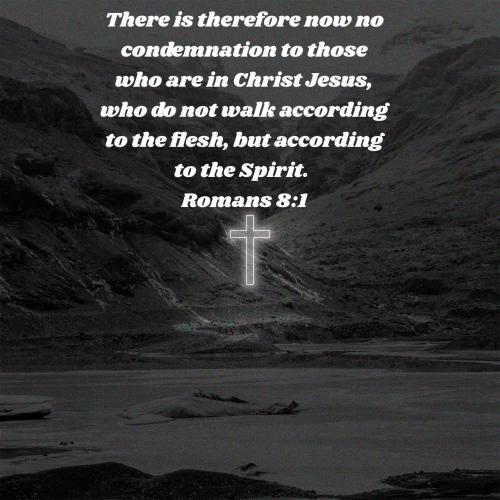 9e81b663-e196-48ed-910e-5a7402301936