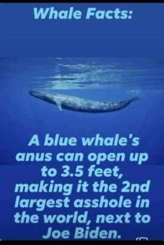 df5e0f51-7414-4cf0-9971-bcfacd925bb6