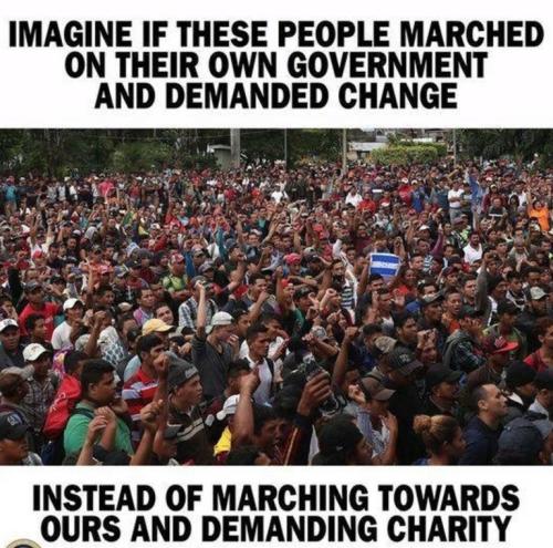 ddb0066f8a7fdf42e6f9738d9ab6bd39_500x0