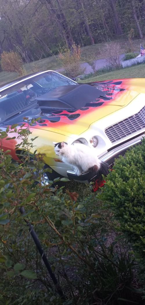 14d206da-16be-4bc2-8770-8037abd7f12f