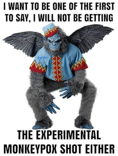 20:49:39 GMT-0500 (CDT).image