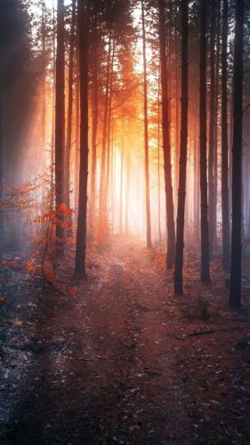 07:45:17 GMT-0500 (CDT)