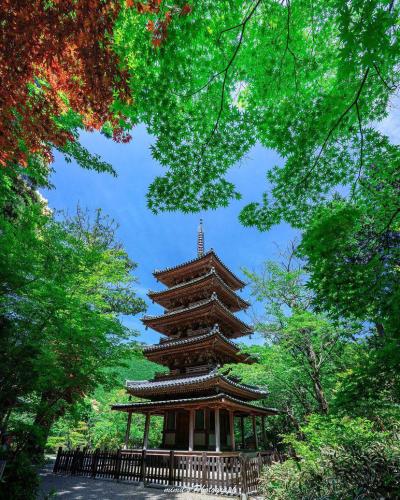 280298680_548540943308579_313720103871054060_n