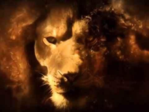 e8e95675-0cb7-4d41-9541-87760bc7046a