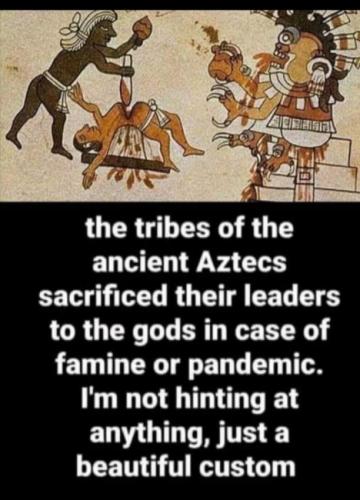 DBDE3693-437C-4608-8086-762B9390F2EC