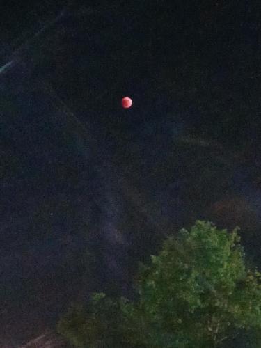 2fa2b0c6-7d90-4803-8ebb-64b5827256ab