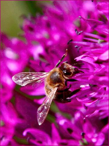 tumblr_e880c095a18983db5fcfbf5f7280bc29_1ce985b3_540